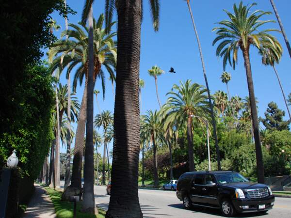 Berverly Hills est le quartier le plus huppé de Los Angeles