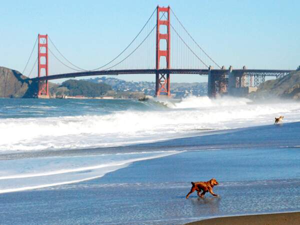 Le Golden Gate Bridge, la porte de l’or, ferme la baie de San Francisco. 