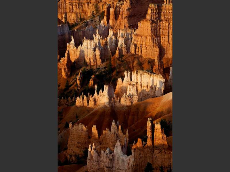 Dans le parc national de Bryce Canyon, dans l’Utah (Etats-Unis), la nature s’en donne à roche joie pour créer des formes verticales et hérissées.