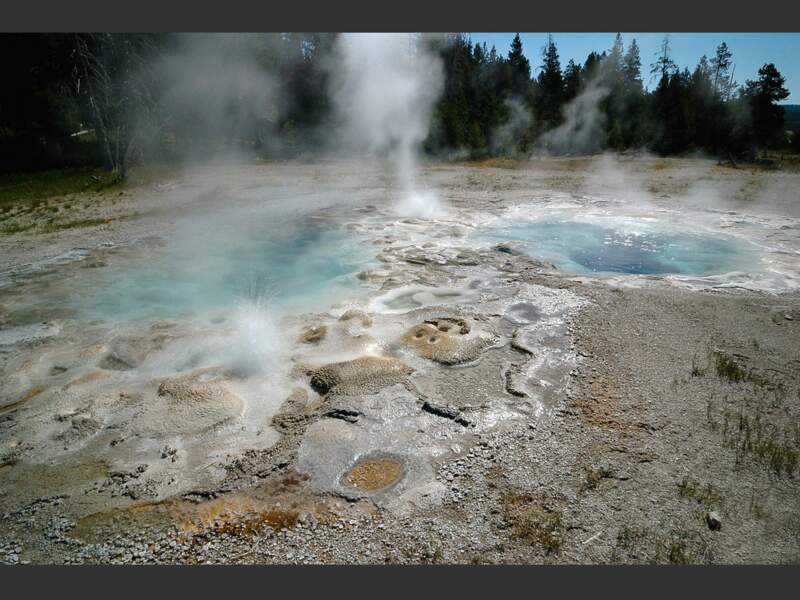 Le Porcelain Basin du parc national de Yellowstone dans le Wyoming (Etats-Unis) est parcouru de bassins d'eau très chaude et acide.