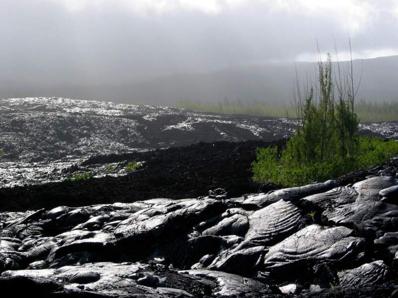 La coulée de lave de 2004 du piton de la Fournaise, sur l'île de la Réunion.