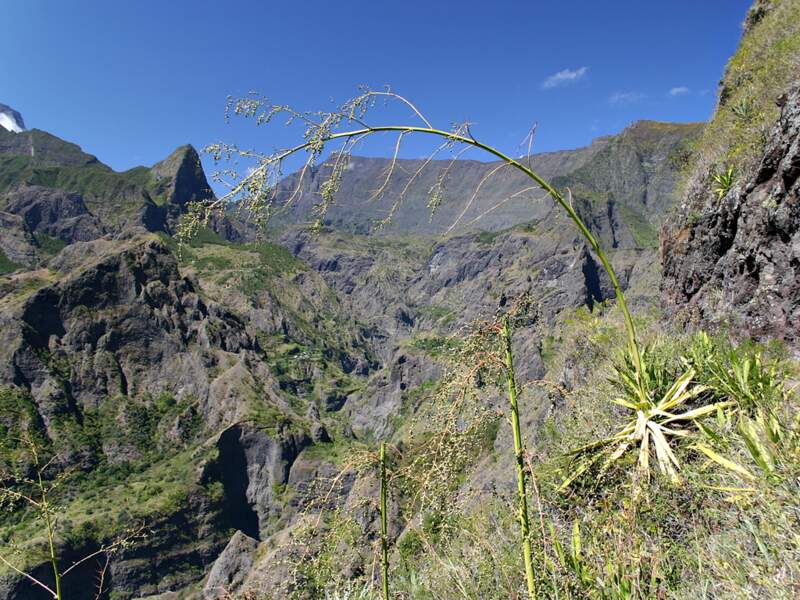 Sentier de la Canalisation des Orangers, île de La Réunion
