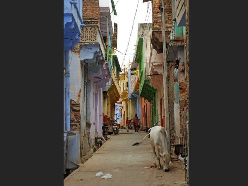 Une petite rue tranquille de Bundi, au Rajasthan, en Inde.