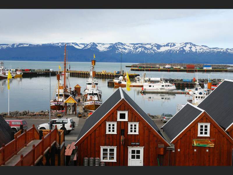 Le port d'Húsavík, un havre de paix en Islande.