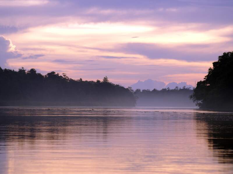Vue du fleuve Sungai Kinabatangan à Bornéo, en Malaisie