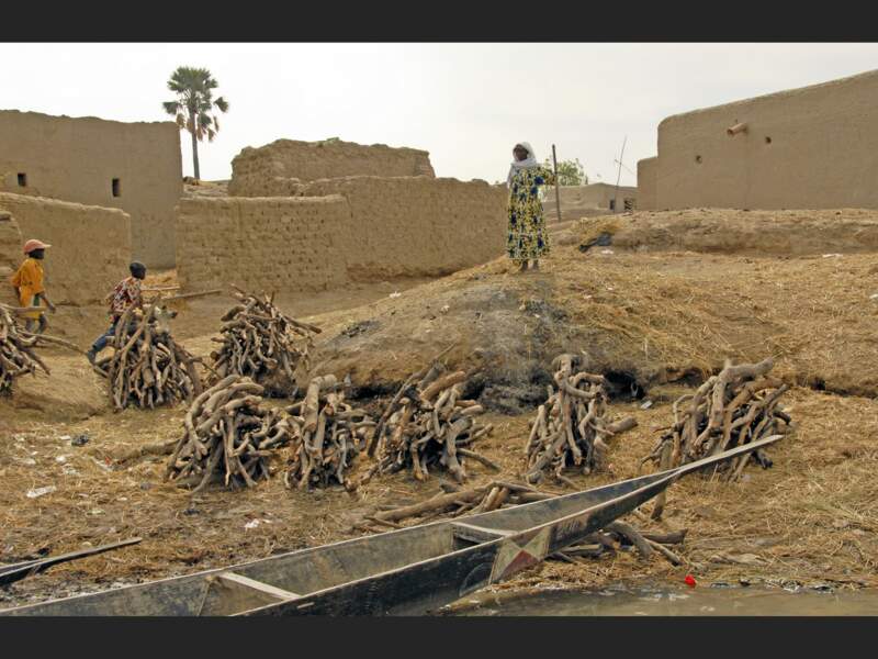 Fagots de bois à Sohanna, au Mali