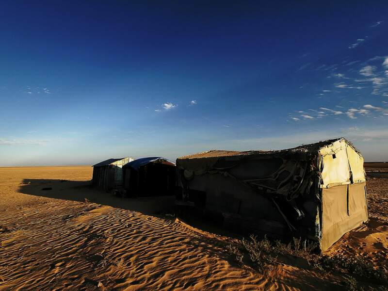 Arkeiss au crépuscule, en Mauritanie