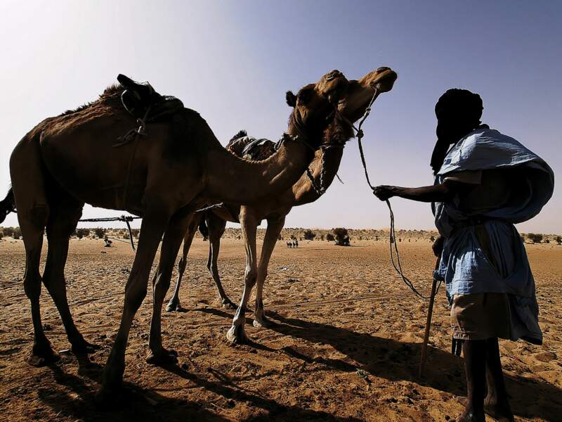 Des nomades au puits de Boutikakmene, en Mauritanie