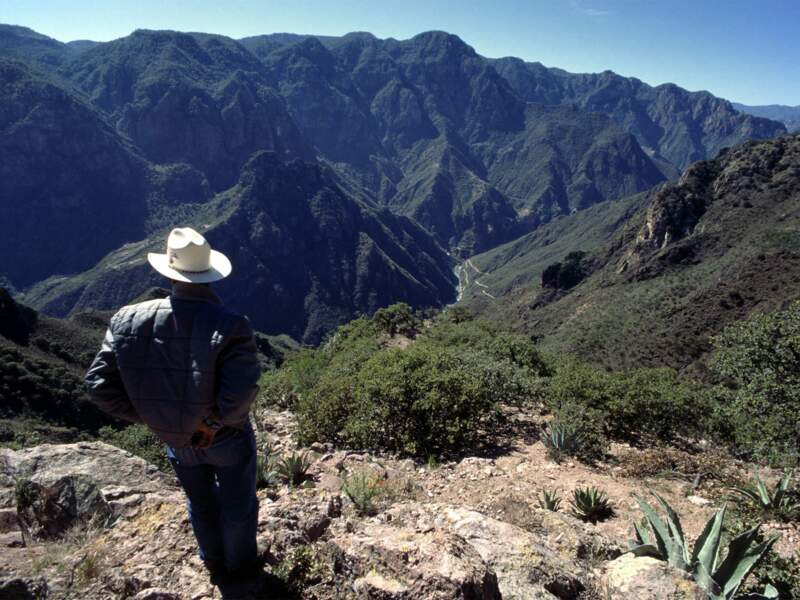 Les montagnes environnant Batopilas, dans la Sierra Tarahumara, au Mexique
