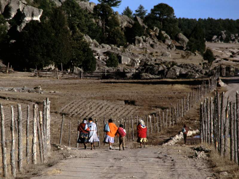 Un groupe d’indiens partent de Creel par un chemin en terre, dans la région de la Sierra Tarahumara, au Mexique
