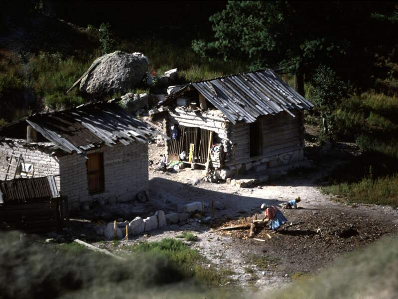 Habitation indienne dans la Sierra Tarahumara, au Mexique