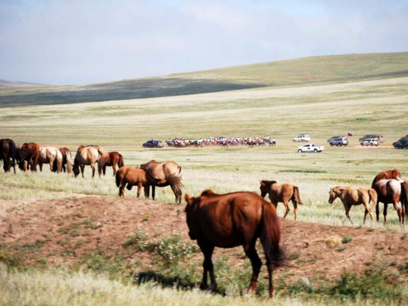 Courses de chevaux à l’occasion du Naadam, dans le centre de la Mongolie