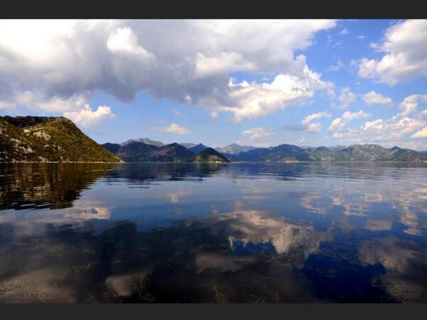 Le parc national du lac Skadar, au Monténégro, figure sur la liste des zones humides d'importance internationale.