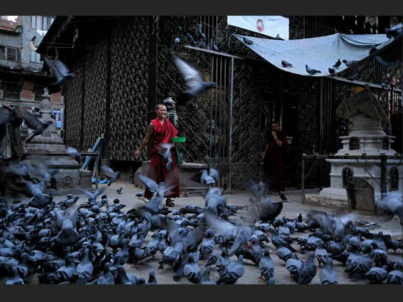 Un moine entouré d’une nuée de pigeons devant le temple de Seto Macchendranath, à Katmandou (Népal).