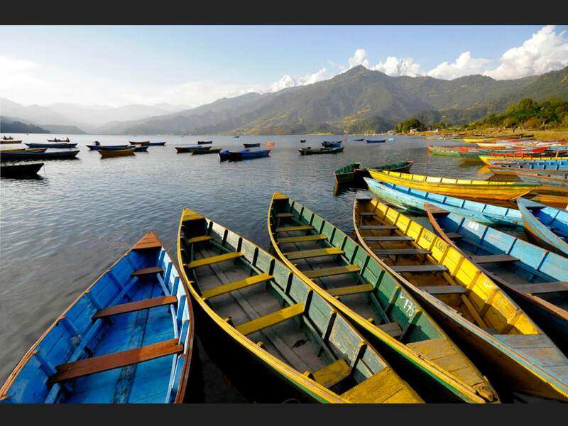 Les barques en bois multicolores flottent sur le lac de Pokhara, au Népal.
