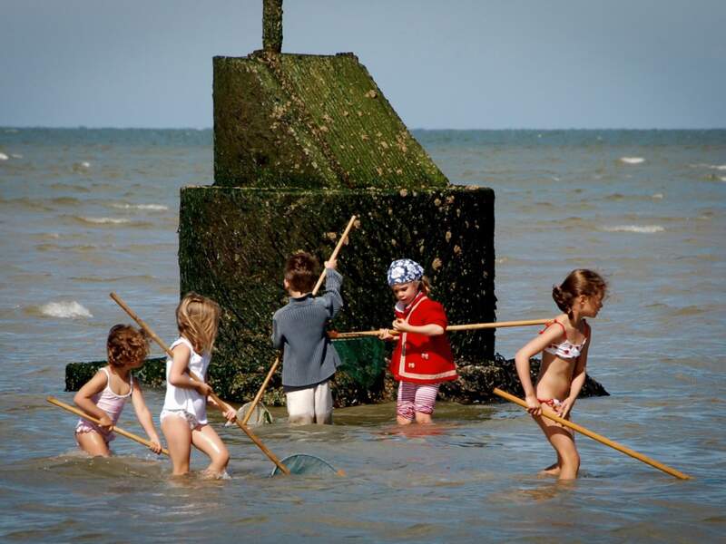 Groupe d’enfants découvrant la pêche à l’épuisette (Courseulles-sur-Mer, Calvados, Normandie).