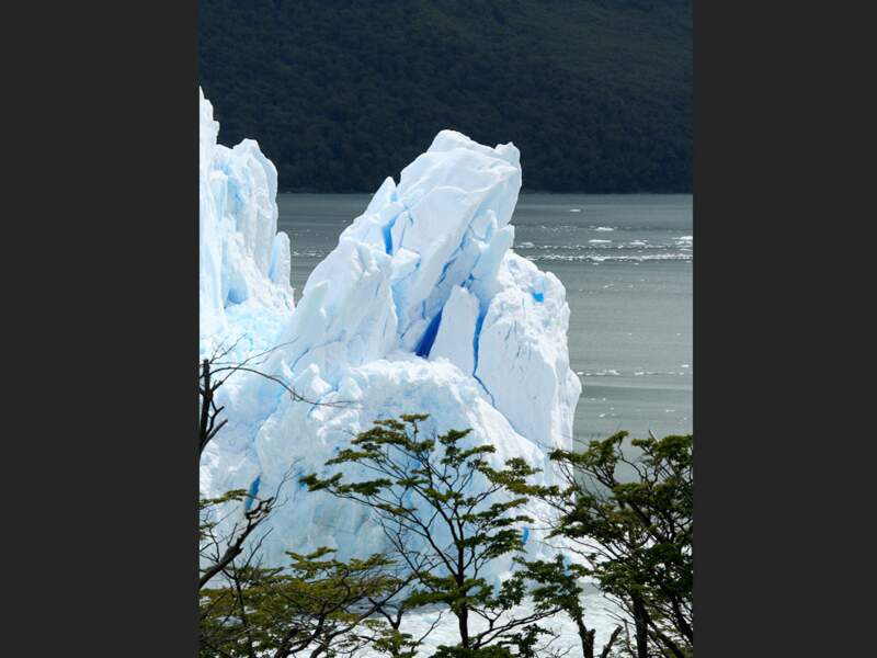 Le glacier Perito Moreno dans le parc national de Los Glacieres, en Argentine