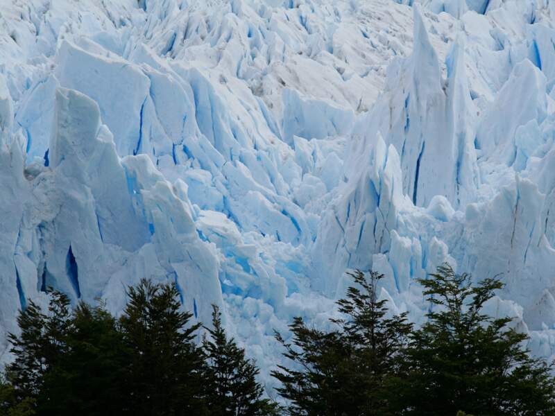 Le glacier Perito Moreno dans le parc national de Los Glacieres, en Argentine