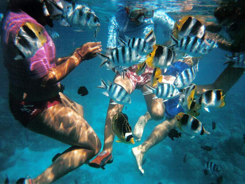 Plongée sous-marine à Bora Bora, en Polynésie française