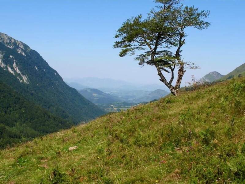 Paysage aux alentours du col de Marie-Blanque, entre la vallée d'Ossau et la vallée d'Aspe, dans les Pyrénées-Atlantiques (Aquitaine).