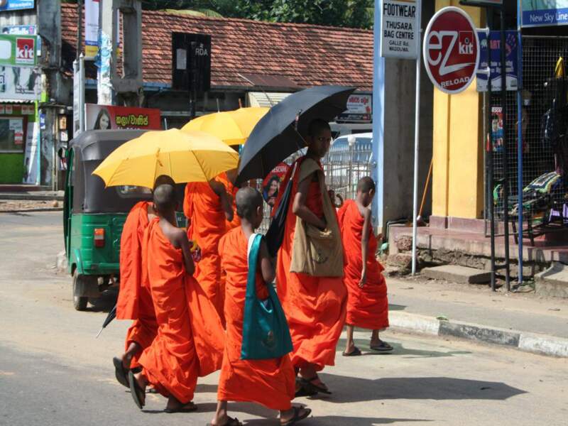 Moines qui se promènent dans les rues de Colombo, au Sri Lanka