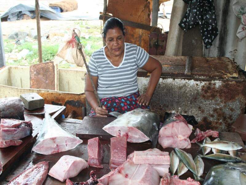 Marché de poissons à Negombo, au Sri Lanka