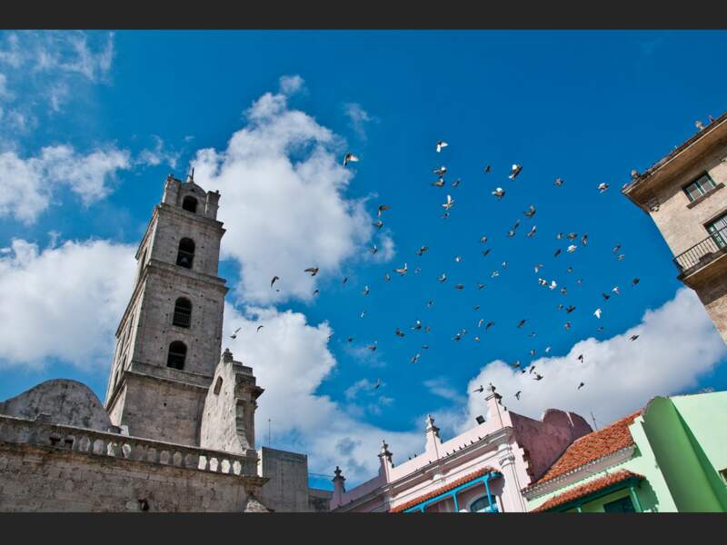 Une nuée d'oiseaux tourne au-dessus de la place San Francisco de Asis, à La Havane, à Cuba.
