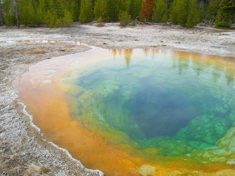 Dégradé volcanique dans le parc national de Yellowstone, au nord-ouest du Wyoming (Etats-Unis).