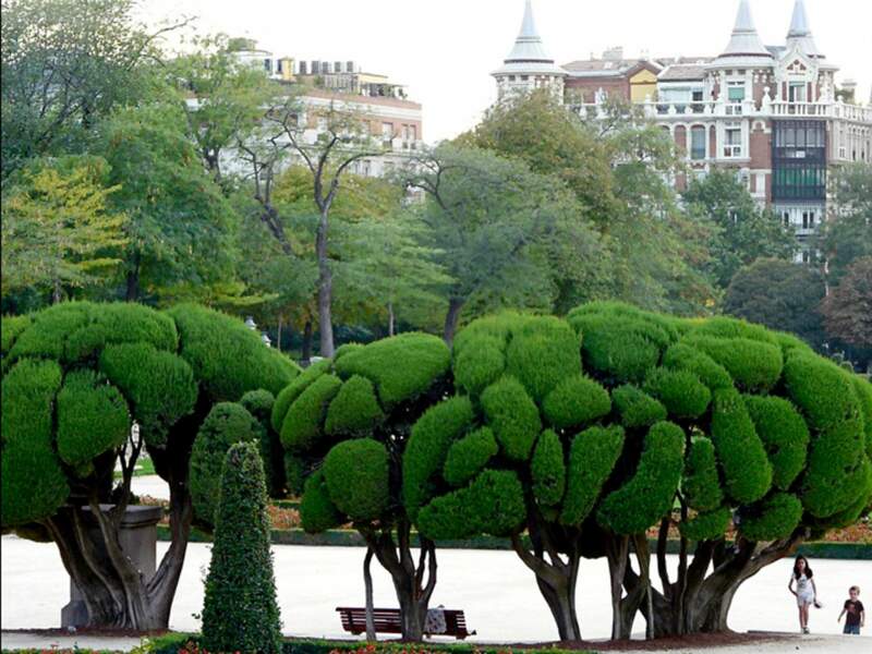 Le parc royal de Buen Retiro est le poumon de Madrid.