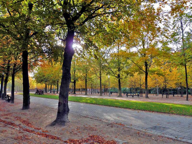 Le parc de Bruxelles, en Belgique.