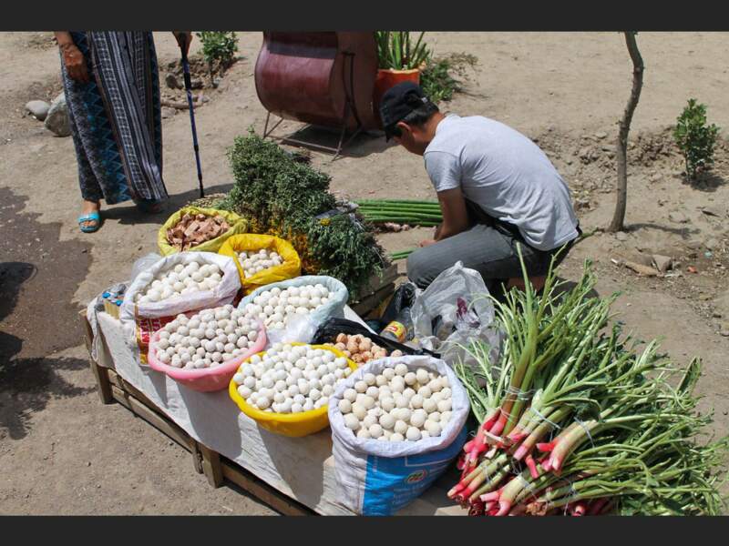 Un vendeur propose de la rhubarbe et du kurut, au col de Kamchik, en Ouzbékistan