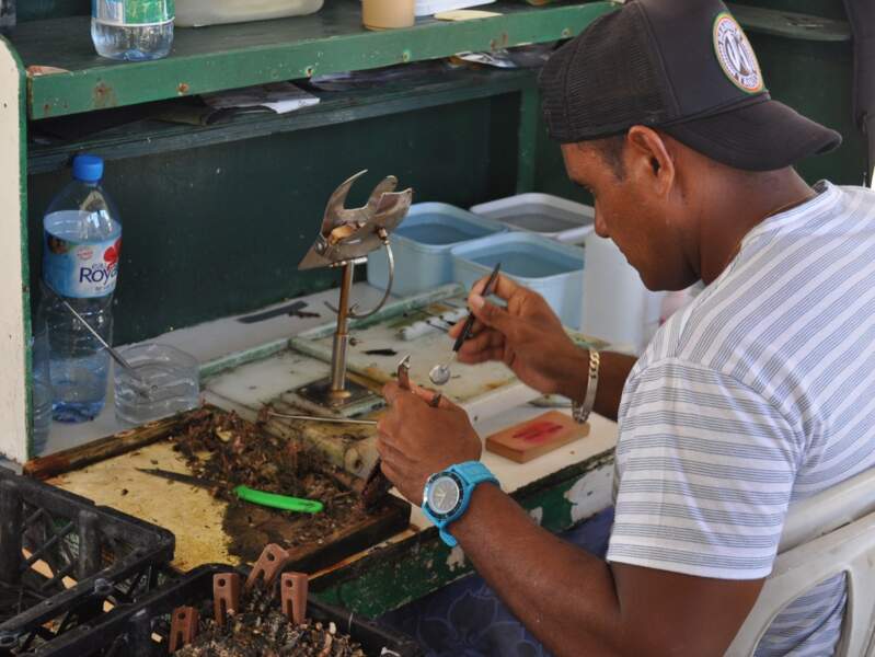 Technicien greffant une huître dans une ferme perlière à Rangiroa, dans l’archipel des Tuamotu (Polynésie française). 