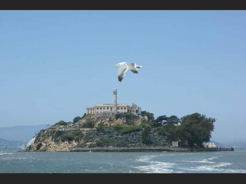 L’île d’Alcatraz est le bagne le plus légendaire des Etats-Unis (San Francisco).