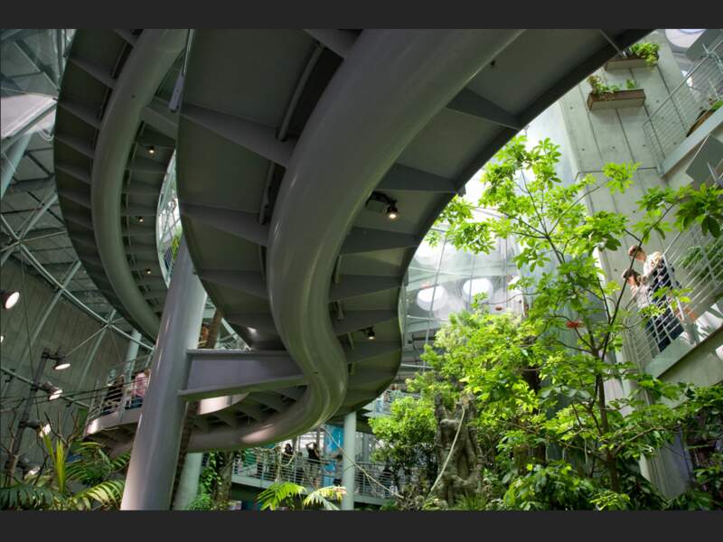 L’Académie des Sciences de Californie a été construite par l’architecte Renzo Piano (San Francisco, Etats-Unis).