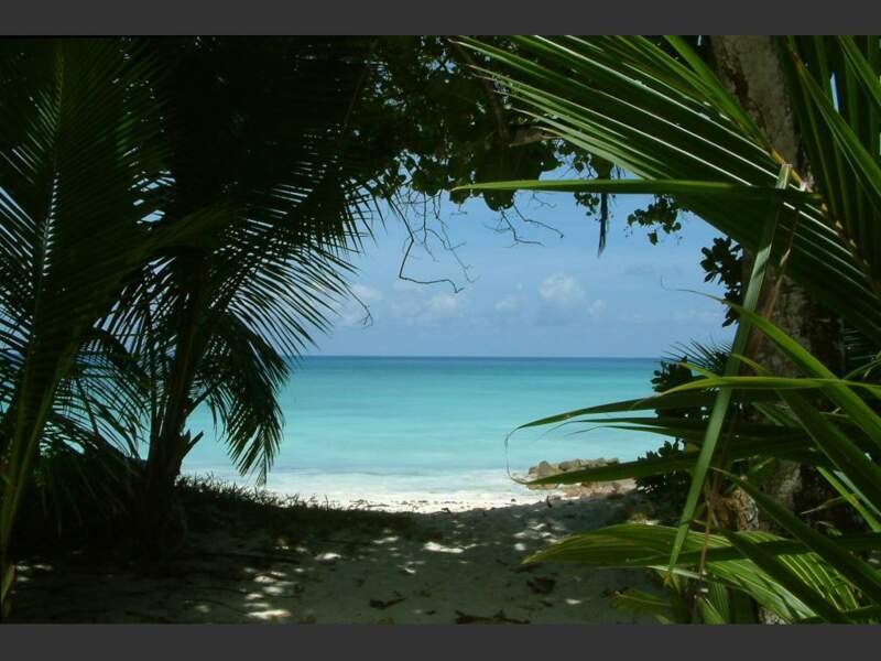 Parmi les destinations favorites des amoureux figurent les îles paradisiaques des Seychelles.