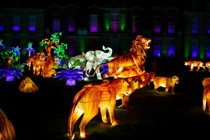 Lumières sauvages, le festival féérique de sculptures géantes du zoo de  Thoiry - GEO