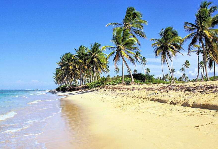 Bavaro Beach, République Dominicaine