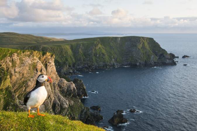 Shetland, «un immense petit monde»