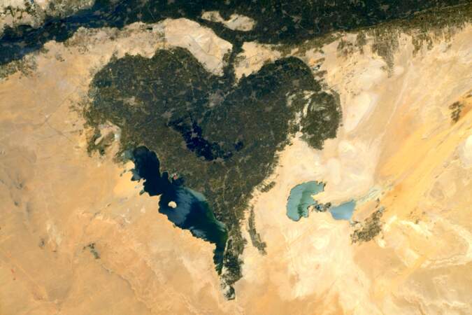 Une oasis en coeur au sud du Caire