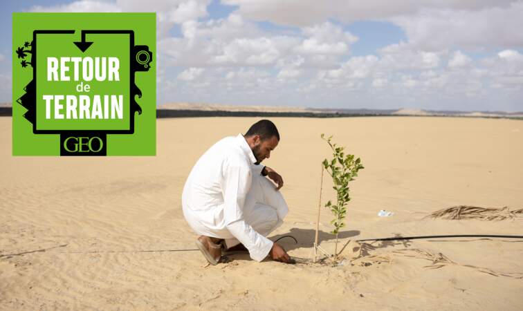 # 18 Egypte : l’oasis de Siwa, un paradis vert au milieu du Sahara