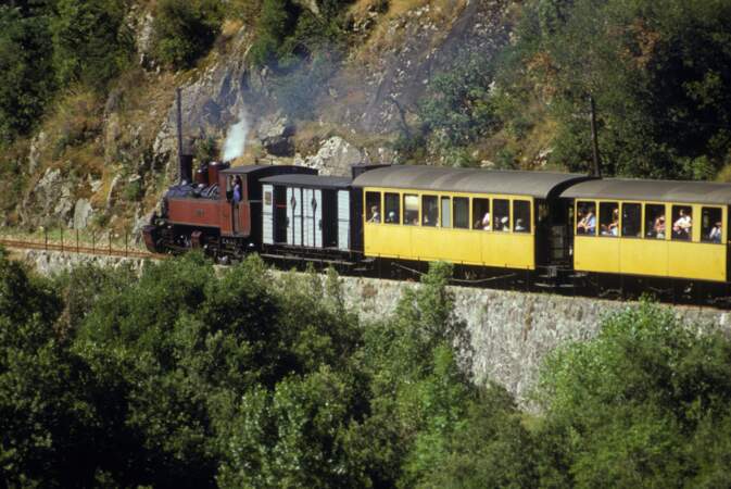 Train touristique des Chemin De Fer Du Vivarais en Ardeche