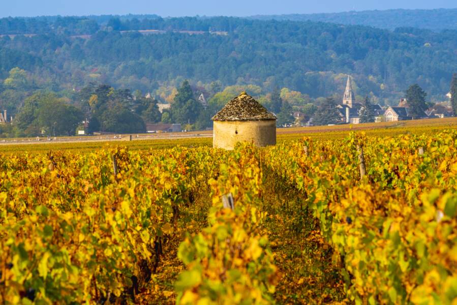 La Bourgogne en automne