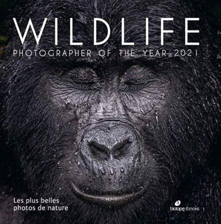 Wildlife Photographer of the Year 2021, le meilleur de la photo animalière