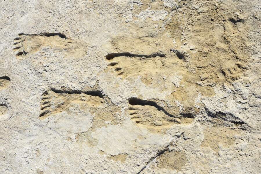 3 - Des empreintes humaines de 23.000 ans qui réécrivent l’histoire