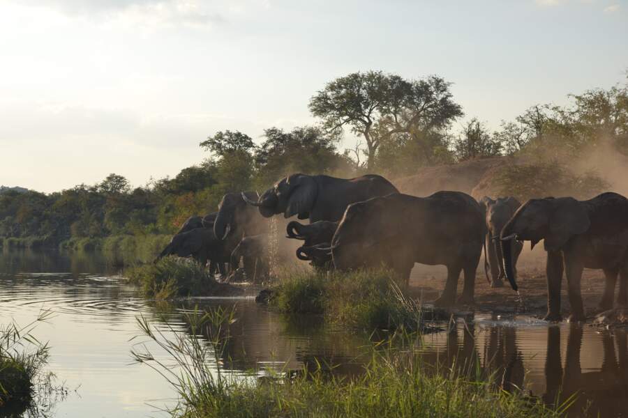 9 - Le parc national Kruger, Afrique du Sud (98,7 millions)