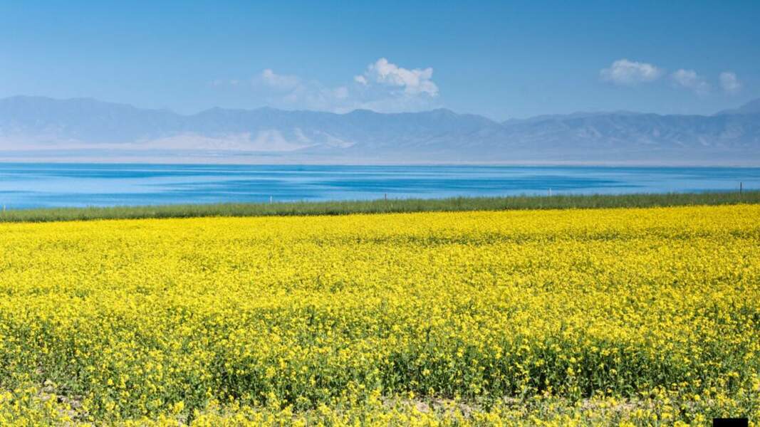 Paysage du Qinghai
