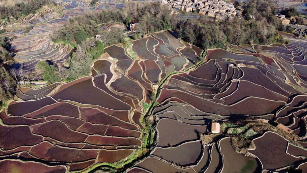 Champs de rizières en terrasses de Yuanyang