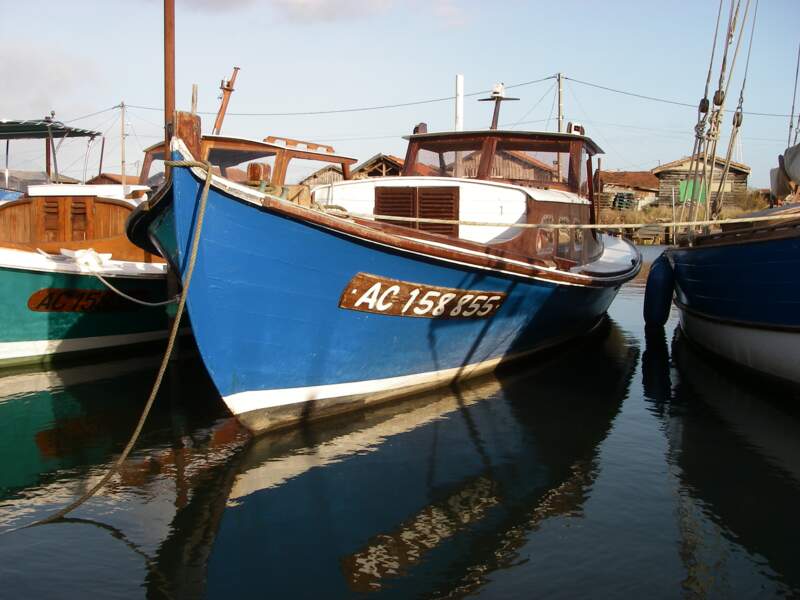 Les bateaux traditionnels du bateau d'Arcachon