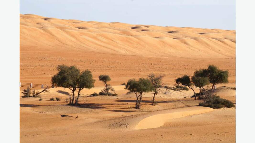 Dunes de sable magiques Wahiba Sands