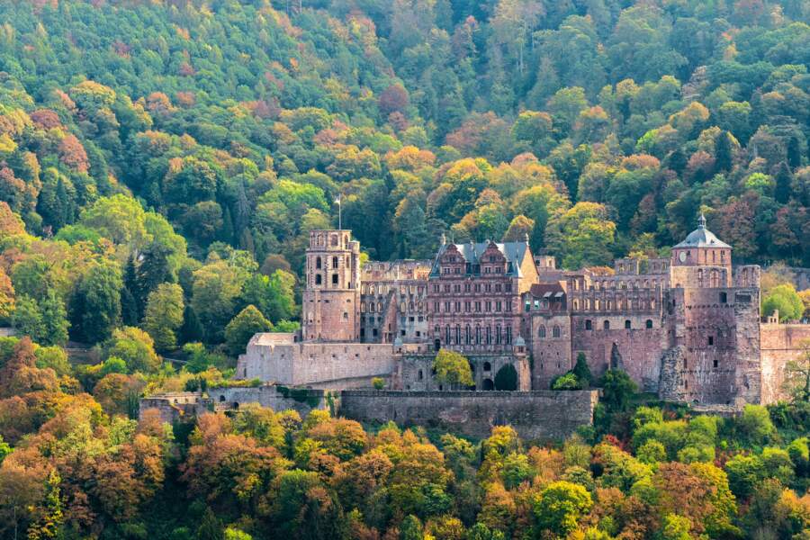Château de Heidelberg (Allemagne)